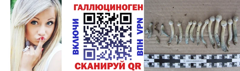 купить  цена  Медногорск  Галлюциногенные грибы ЛСД 